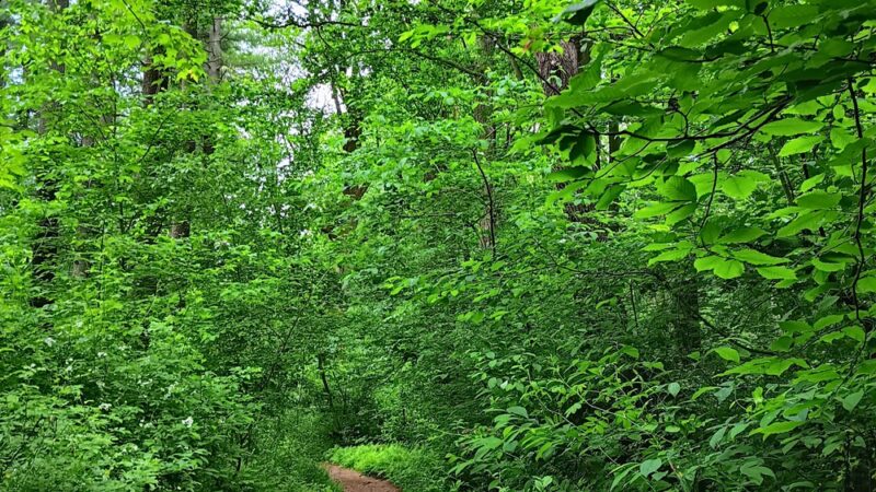 Ridley Creek Trail Entrance & Parking - Media, PA