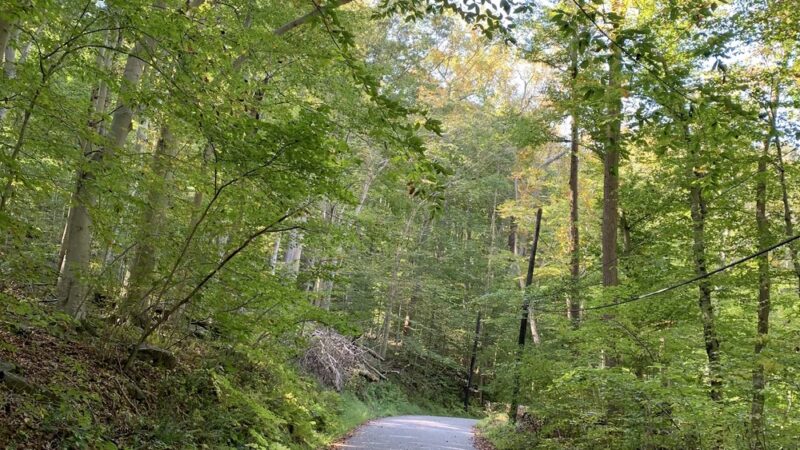 Ridley Creek Trail Entrance & Parking - Media, PA