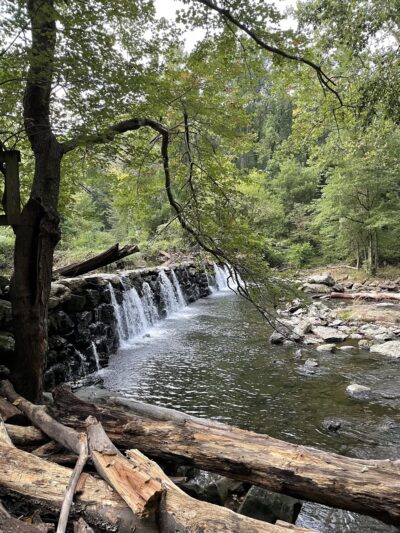 Ridley Creek Waterfall - Media, PA