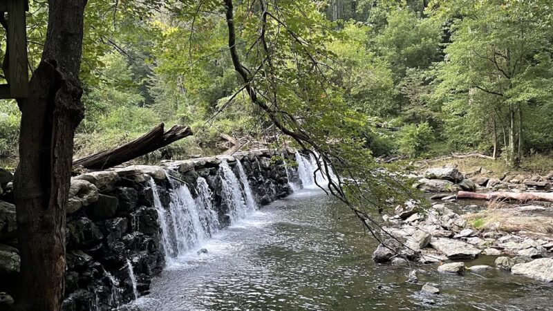Ridley Creek Waterfall - Media, PA