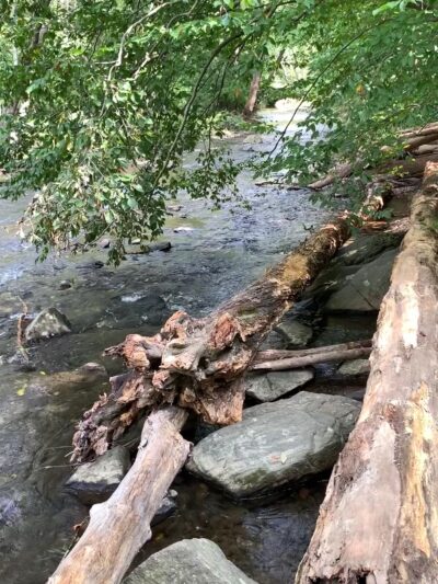 Ridley Creek Waterfall - Media, PA