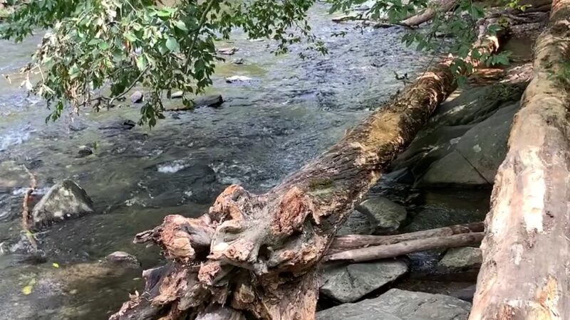 Ridley Creek Waterfall - Media, PA