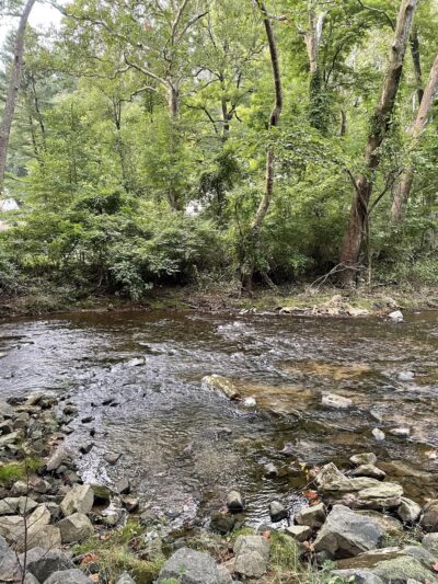 Ridley Creek Waterfall - Media, PA