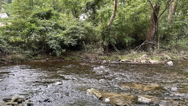 Ridley Creek Waterfall - Media, PA
