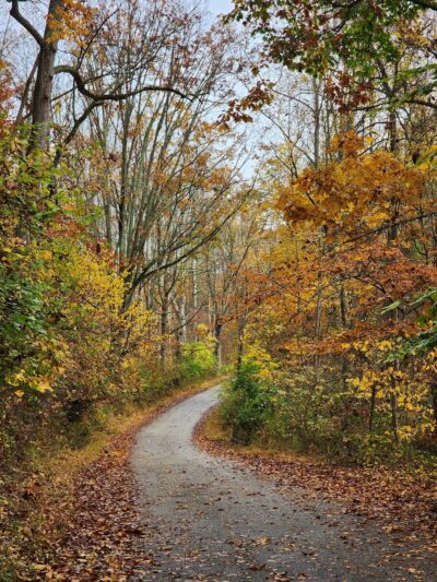 Ridley Creek Waterfall - Media, PA