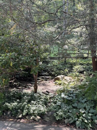 Ridley Creek Waterfall - Media, PA