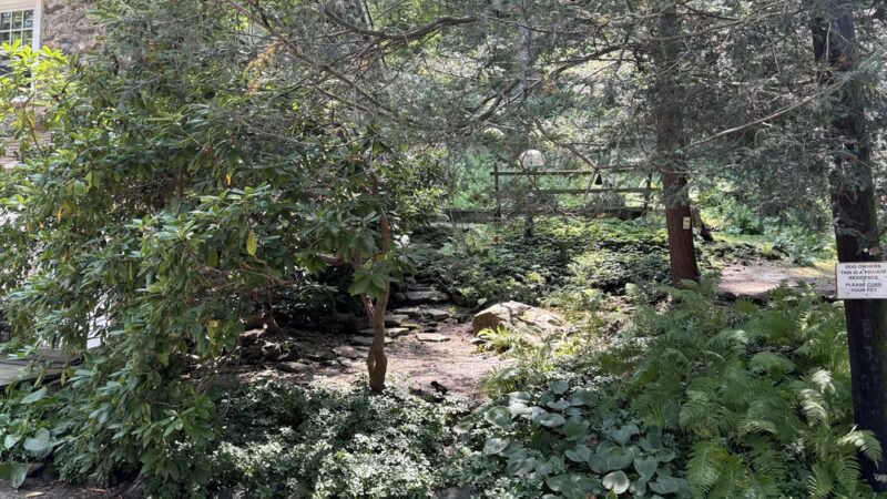 Ridley Creek Waterfall - Media, PA