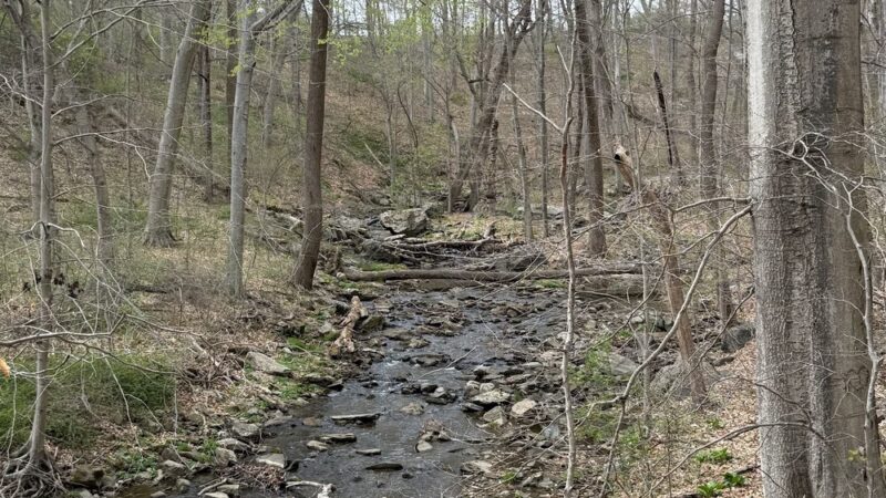 Rocky Run Trail - Media, PA