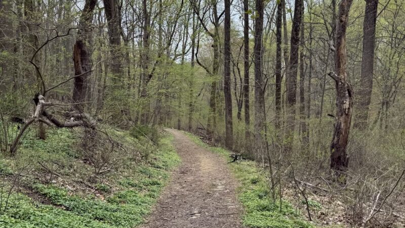 Rocky Run Trail - Media, PA