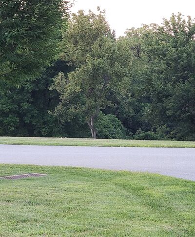 Sleighton Park - Media, PA