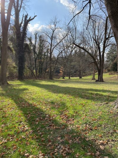 Thompson Park - Media, PA