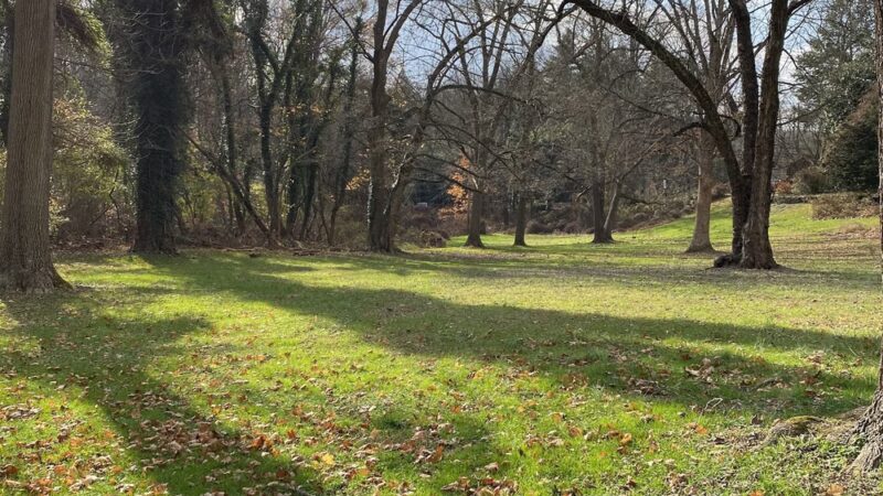 Thompson Park - Media, PA