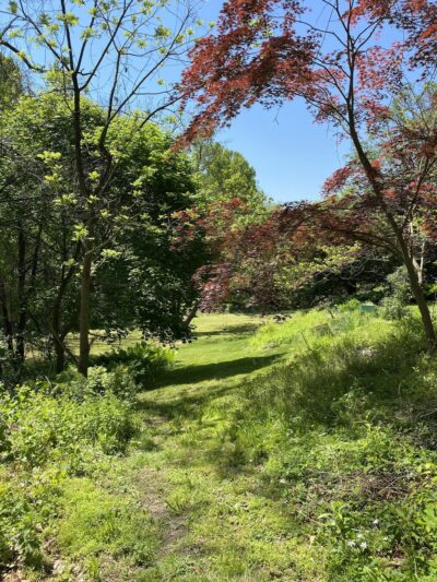 Thompson Park - Media, PA