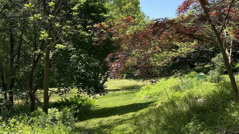 Thompson Park - Media, PA