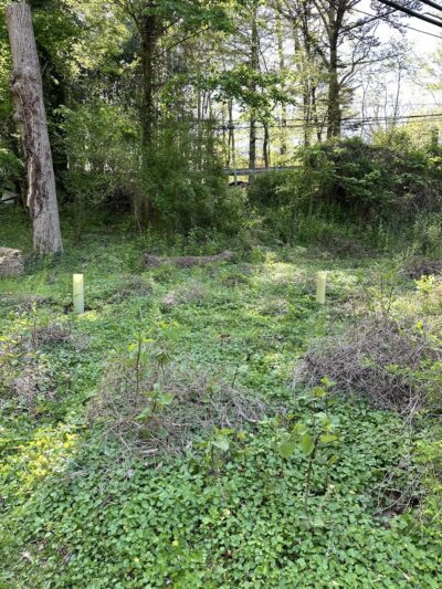 Thompson Park - Media, PA