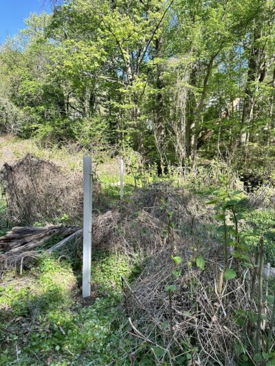 Thompson Park - Media, PA