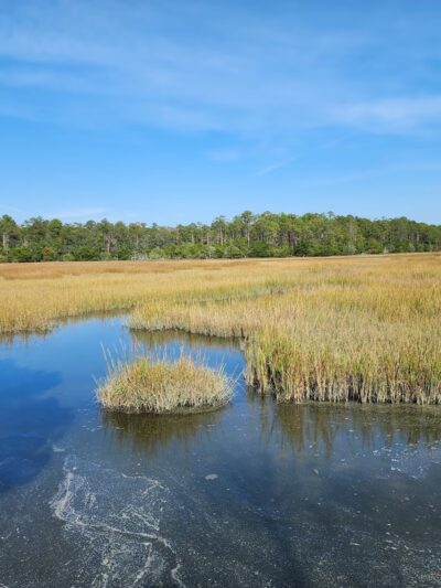 Meggett County Park - Meggett, SC