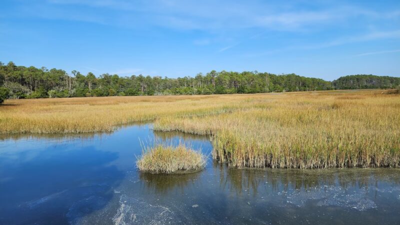 Meggett County Park - Meggett, SC