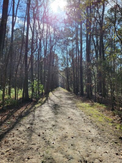 Meggett County Park - Meggett, SC