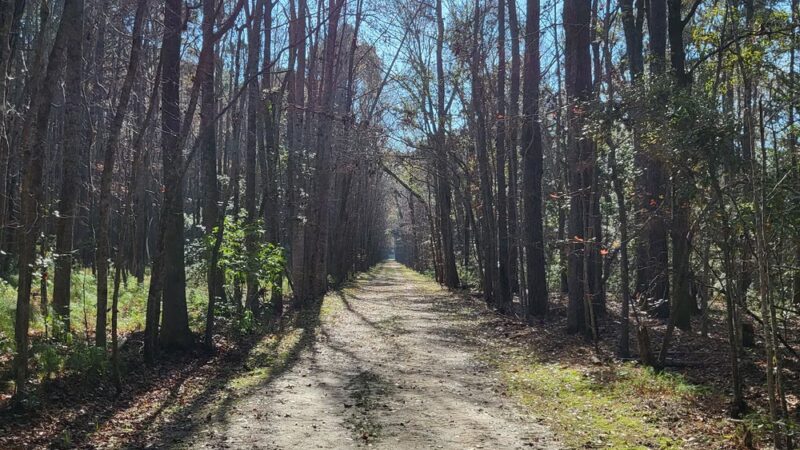 Meggett County Park - Meggett, SC