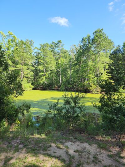 Meggett County Park - Meggett, SC