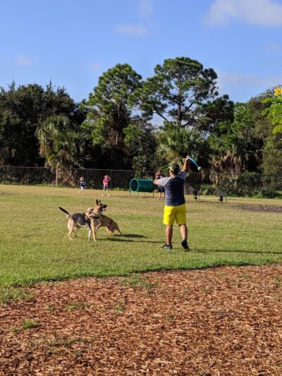 Viera Bark Park - Melbourne, FL