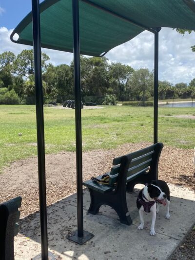 Viera Bark Park - Melbourne, FL