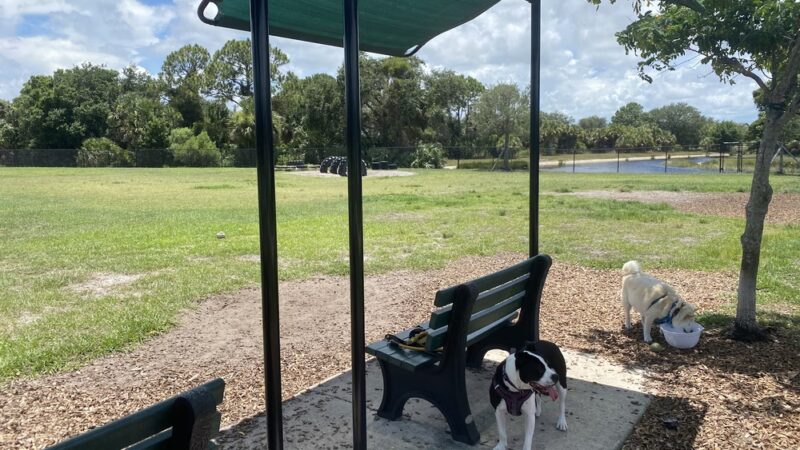 Viera Bark Park - Melbourne, FL