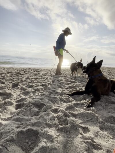 Canova Dog Park - Melbourne, FL