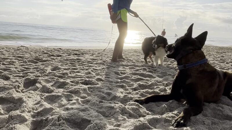 Canova Dog Park - Melbourne, FL