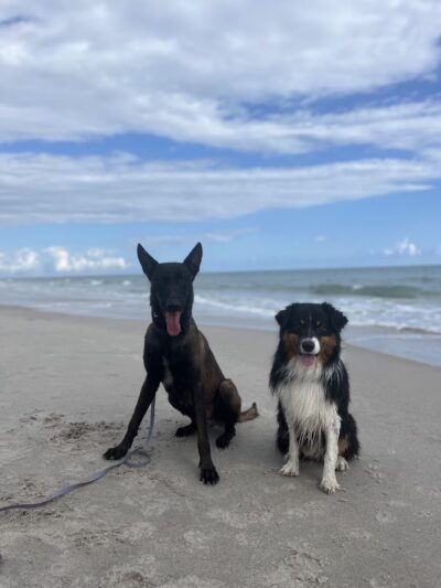 Canova Dog Park - Melbourne, FL