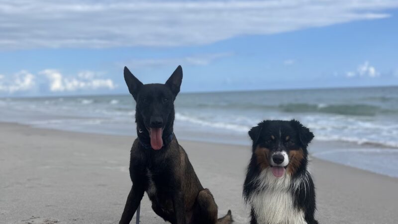 Canova Dog Park - Melbourne, FL