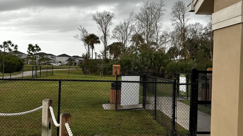 Central Bark - Melbourne, FL