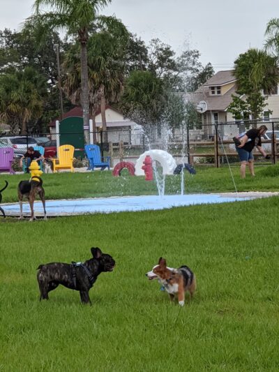 Pieloch Dog Park - Melbourne, FL