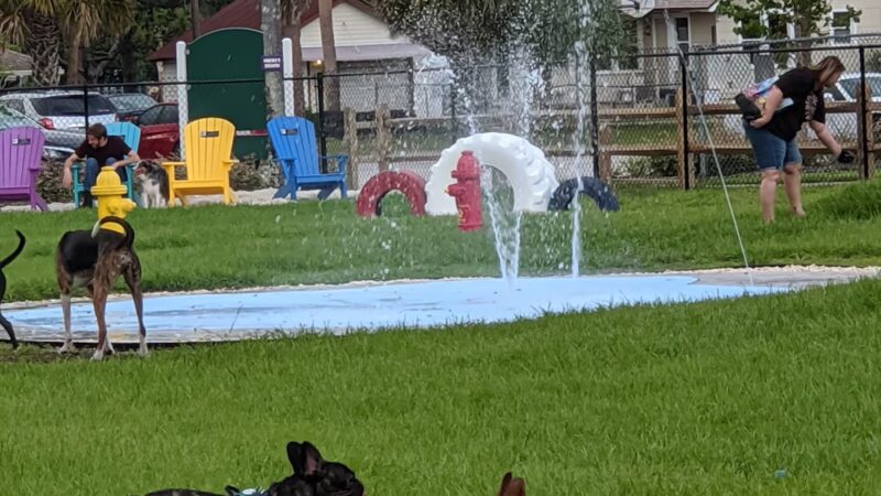 Pieloch Dog Park - Melbourne, FL