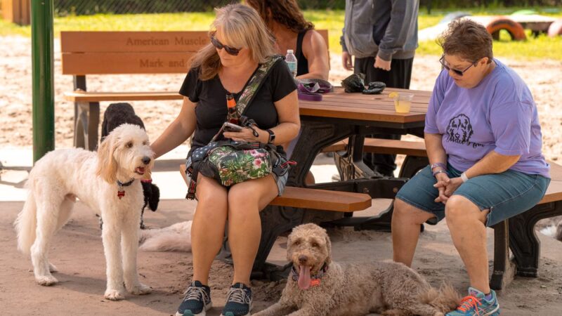 Pieloch Dog Park - Melbourne, FL