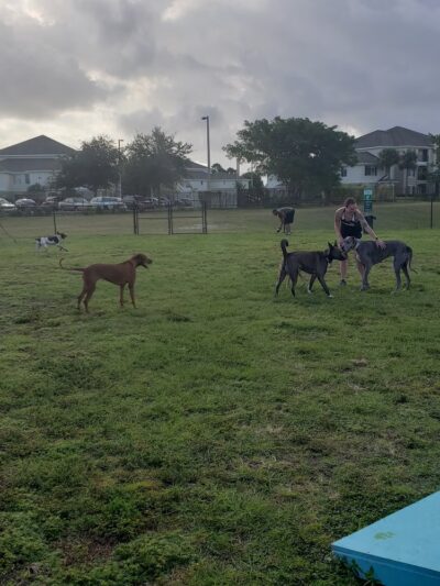 Pieloch Dog Park - Melbourne, FL