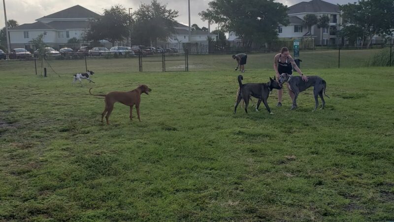Pieloch Dog Park - Melbourne, FL
