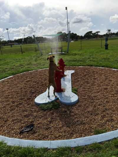 Pieloch Dog Park - Melbourne, FL