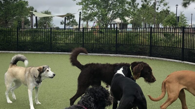 Town Center Dog Park - Melbourne, FL