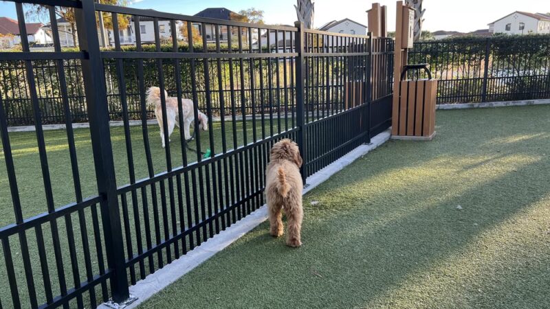 Town Center Dog Park - Melbourne, FL