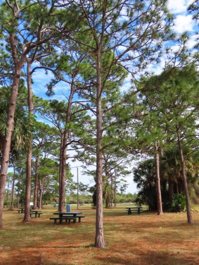 Wickham Park - Melbourne, FL