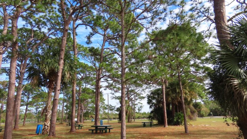 Wickham Park - Melbourne, FL