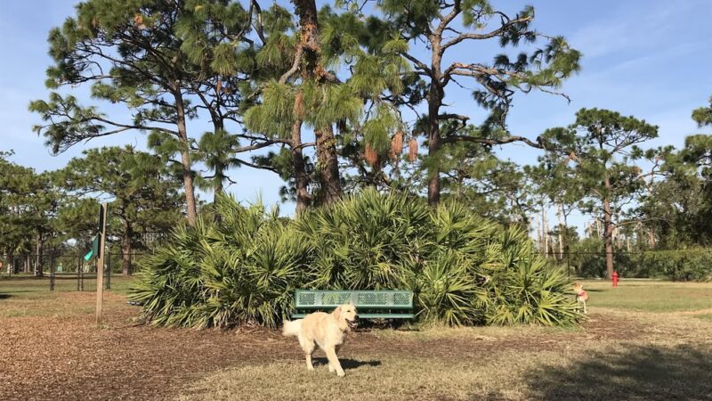 Wickham Park Dog Park - Melbourne, FL