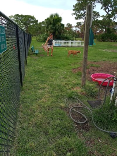 Wickham Park Dog Park - Melbourne, FL