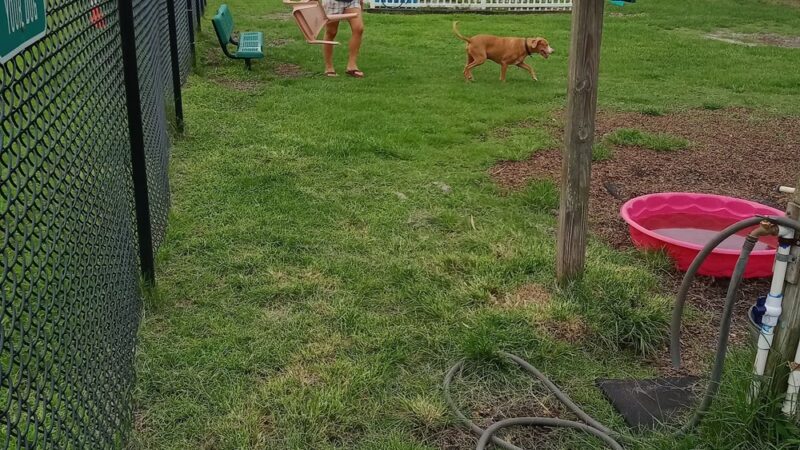 Wickham Park Dog Park - Melbourne, FL