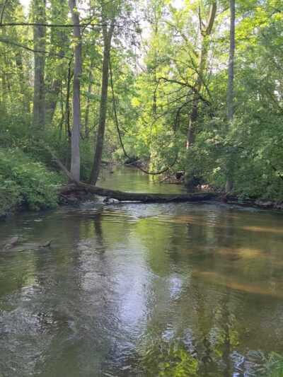 Erie Canal Trailway Access Site - Memphis, NY
