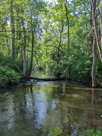 Erie Canal Trailway Access Site - Memphis, NY