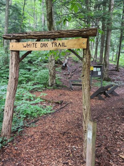 Whiskey Hollow Nature Preserve - Memphis, NY