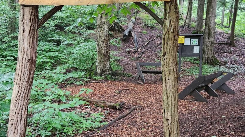 Whiskey Hollow Nature Preserve - Memphis, NY
